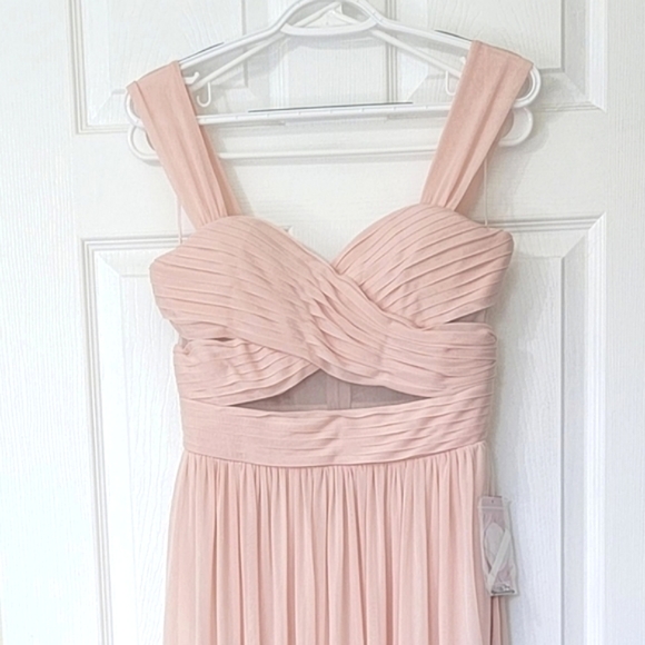 Birdy Grey Elsye Pleated Sweetheart Bodice w/Sheer Mesh Sleeveless Maxi Dress - Picture 5 of 6